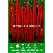NP04 Houja Hot pepper prices, vegetable seeds types